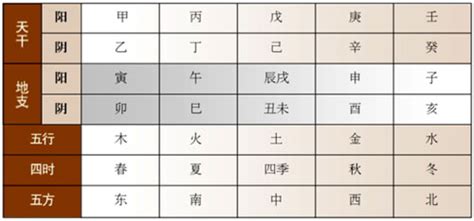 地支的五行|天干地支五行对照表图 阴阳五行